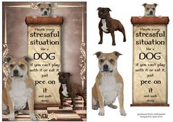 Handle Every Stressful Situation Like a Dog - bull Terrier
