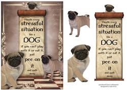 Handle Every Stressful Situation Like a Dog - pug