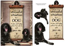 Handle Every Stressful Situation Like a Dog - munsterlander