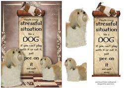 Handle Every Stressful Situation Like a Dog - havanese & Pup