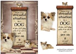 Handle Every Stressful Situation Like a Dog - chihuahua