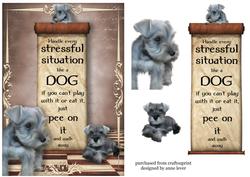 Handle Every Stressful Situation Like a Dog - schnauzer