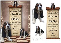 Handle Every Stressful Situation Like a Dog - basset Hound