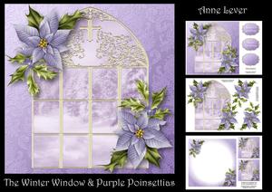 The Winter Window & Purple Poinsettias