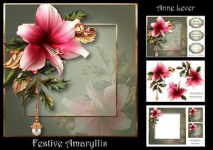 Festive Amaryllis Mini Kit