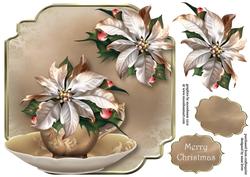 Teacup, Saucer & White Poinsettias