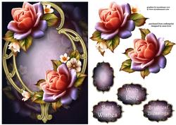Peach 'twinkle' Roses on Golden Frame