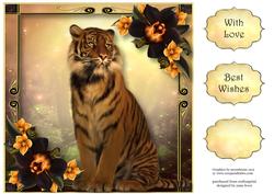 The Sunset Tiger 8x8 Quick Topper