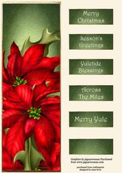 The Christmas Poinsettia Large Dl Quick Topper