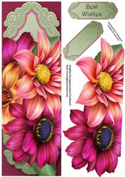Beautiful Dahlia Blooms Large Dl