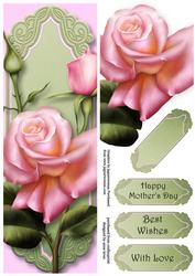 Pink Edwardian Roses Large Dl