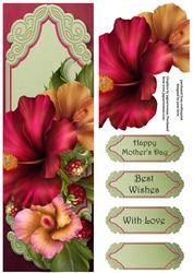 Beautiful Hibiscus Blooms Large Dl
