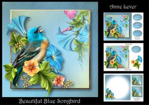 Beautiful Blue Birdsong