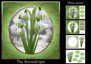 The Snowdrops
