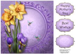 Daffodils & Crocus