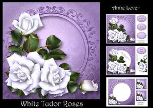 White Tudor Roses