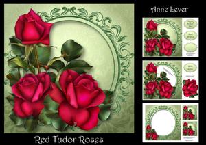Red Tudor Roses
