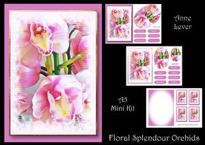 Floral Splendour - Orchids