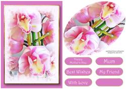 Floral Splendour - Orchids Quick Topper