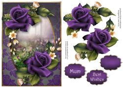 Purple Velvet Roses A5
