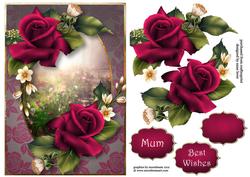 Deep Pink Velvet Roses A5