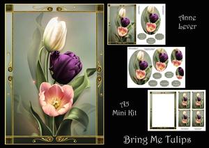 Bring Me Tulips
