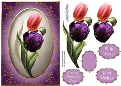 Pink & Purple Tulips