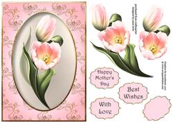 Pink Tulips