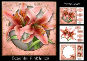 Beautiful Pink Lilies