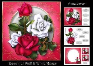 Beautiful Pink & White Roses