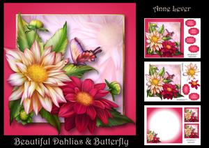 Beautiful Dahlias & Butterfly