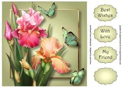 Blush Iris & Butterflies 8x8 Quick Topper
