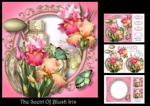 The Scent of Blush Iris