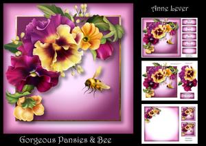 Gorgeous Pansies & Bee