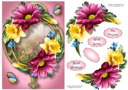 Chrysanthemum Spring On Golden Frame A5