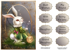 The White Rabbit A5 Quick Topper