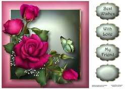 Claires Roses 8x8
