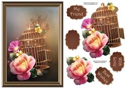 The Open Birdcage