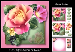 Beautiful Summer Rose