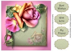 Gorgeous Blended Roses 8x8