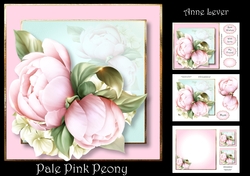 Pale Pink Peony