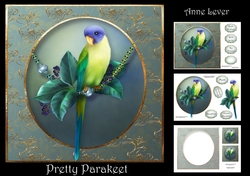 Pretty Parakeet