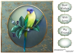 Pretty Parakeet 8x8