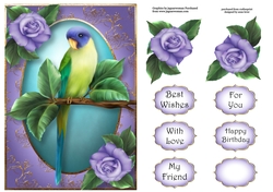 Pretty Parakeet & Roses A5