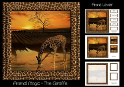 Animal Magic - The Giraffe