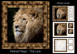 Animal Magic - The Lion