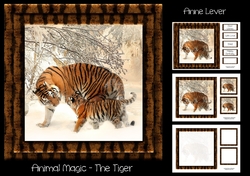 Animal Magic - The Tiger