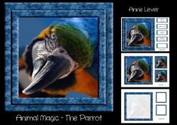 Animal Magic - The Parrot