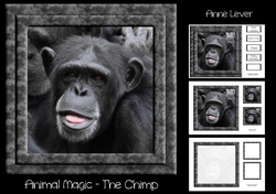 Animal Magic - The Chimp