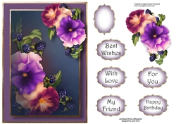 Summer Pansies A5